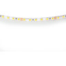 Лента LIGHTSTAR 420516 LED 24V 12W 120leds/M 26-28 lm ice blue IP2 5м