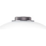 Настольная лампа LIGHTSTAR COLORE 805906 LED 2х4W LM 3000K кофейный/белый